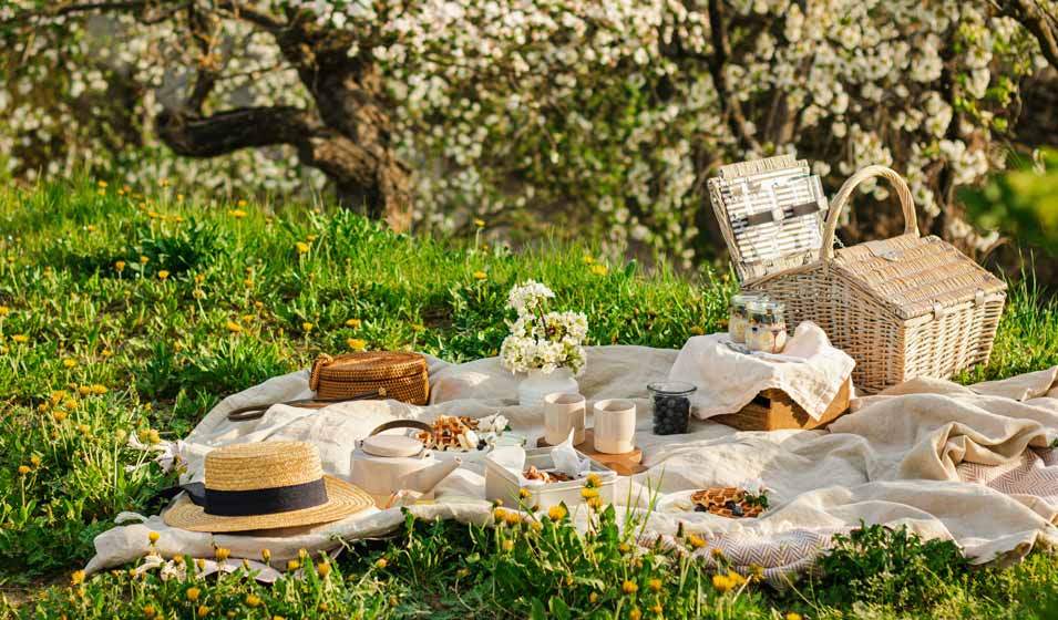 Pique-niques à vélo, les spots près d’Annecy