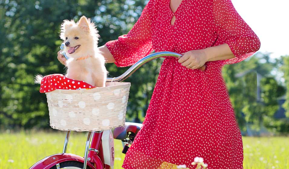 Balade à vélo avec son chien à Annecy